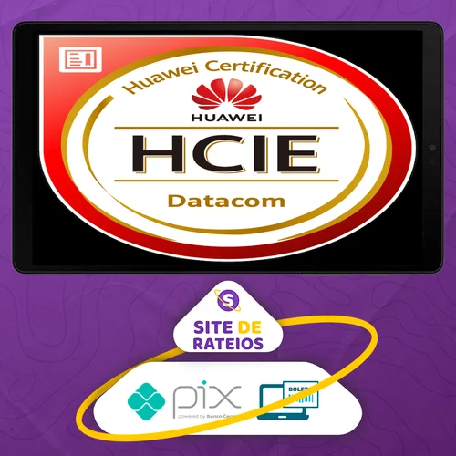 Treinamento Huawei HCIA Datacom - NetFinders Brasil