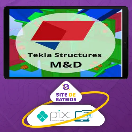 Curso Tekla Structures M&D - Fernando de Cesaro