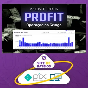 Mentoria Meta Profit - Bruno Henrique